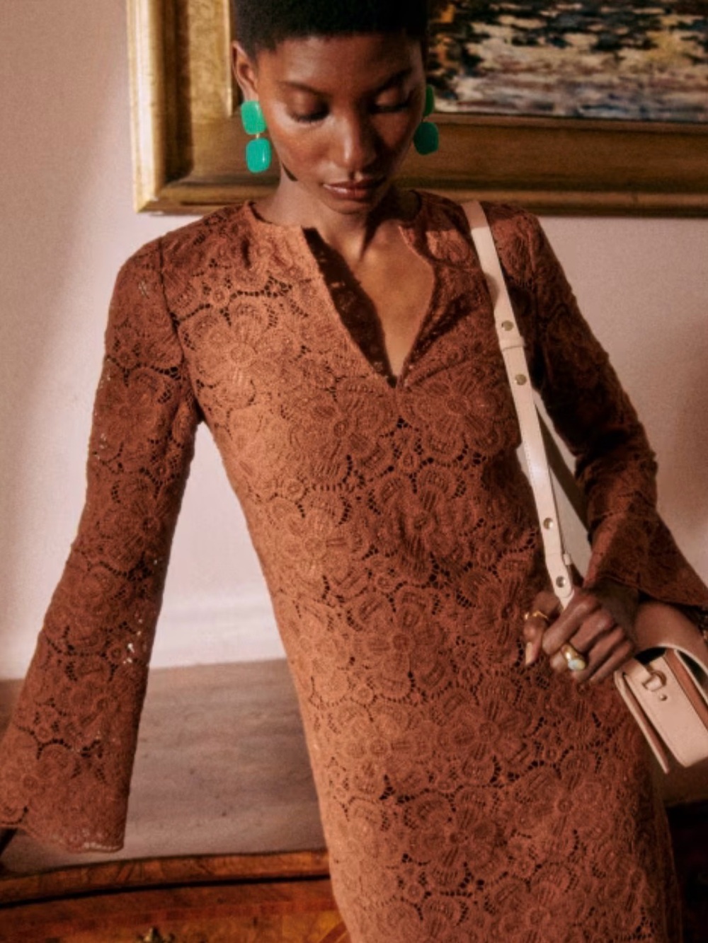 Sézane Brown Lace Long Sleeve V-Notch Dress.